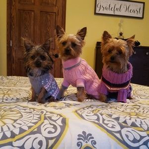 Meet your Posher, Diane